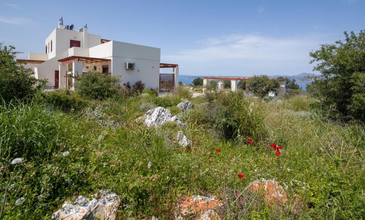 Villa Phenωmena Apartments Kokkino Chorio Zewnętrze zdjęcie