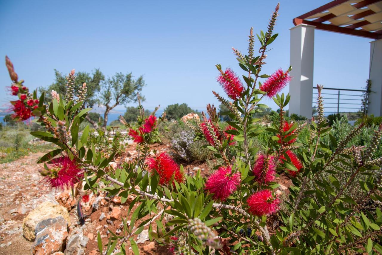 Villa Phenωmena Apartments Kokkino Chorio Zewnętrze zdjęcie